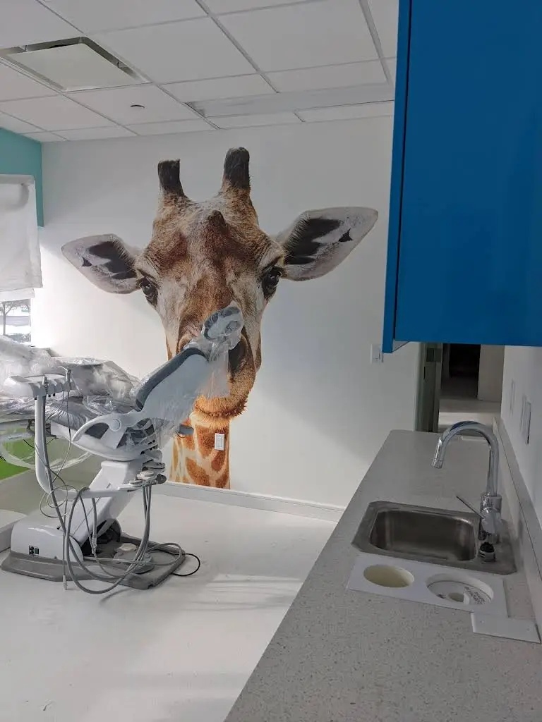 Floss Boss Pediatric Dentistry