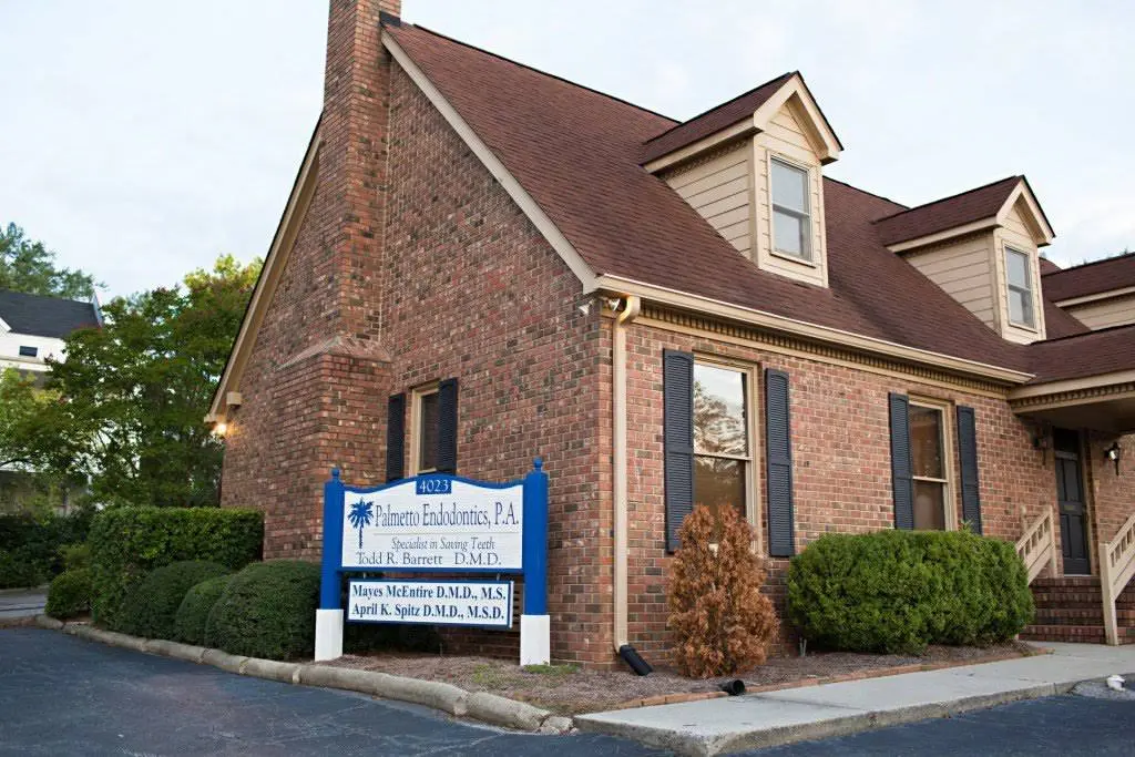 Palmetto Endodontics
