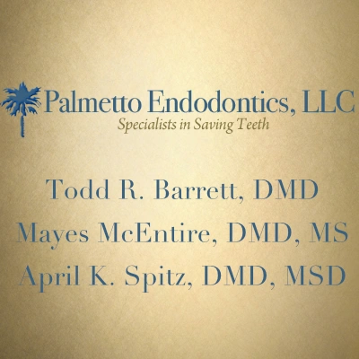 Palmetto Endodontics