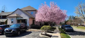Scheier & Price Family Dentistry