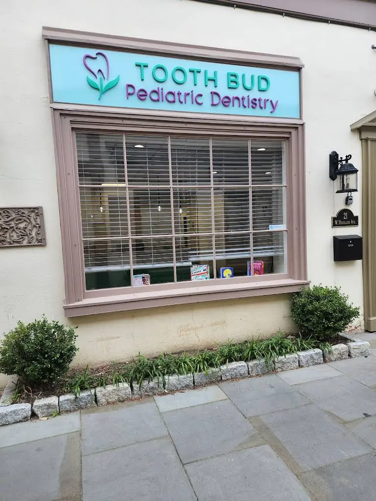 Tooth Bud Pediatric Dentistry