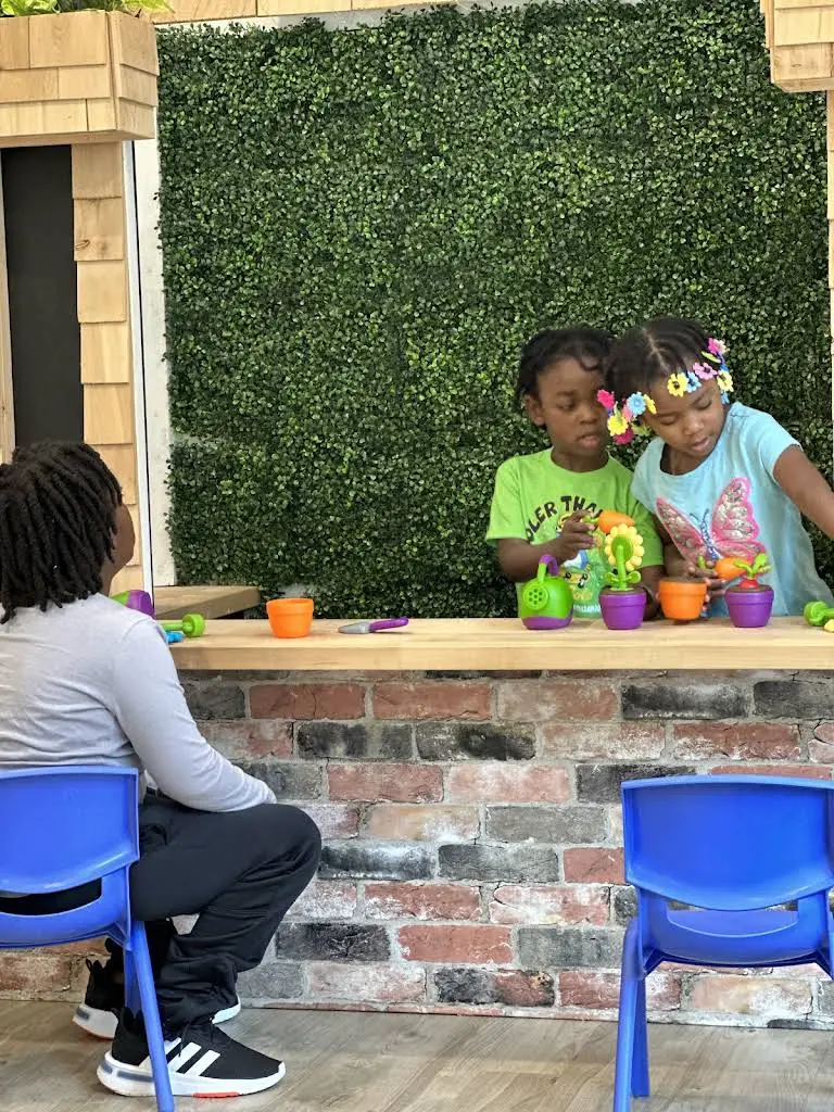 Tooth Bud Pediatric Dentistry
