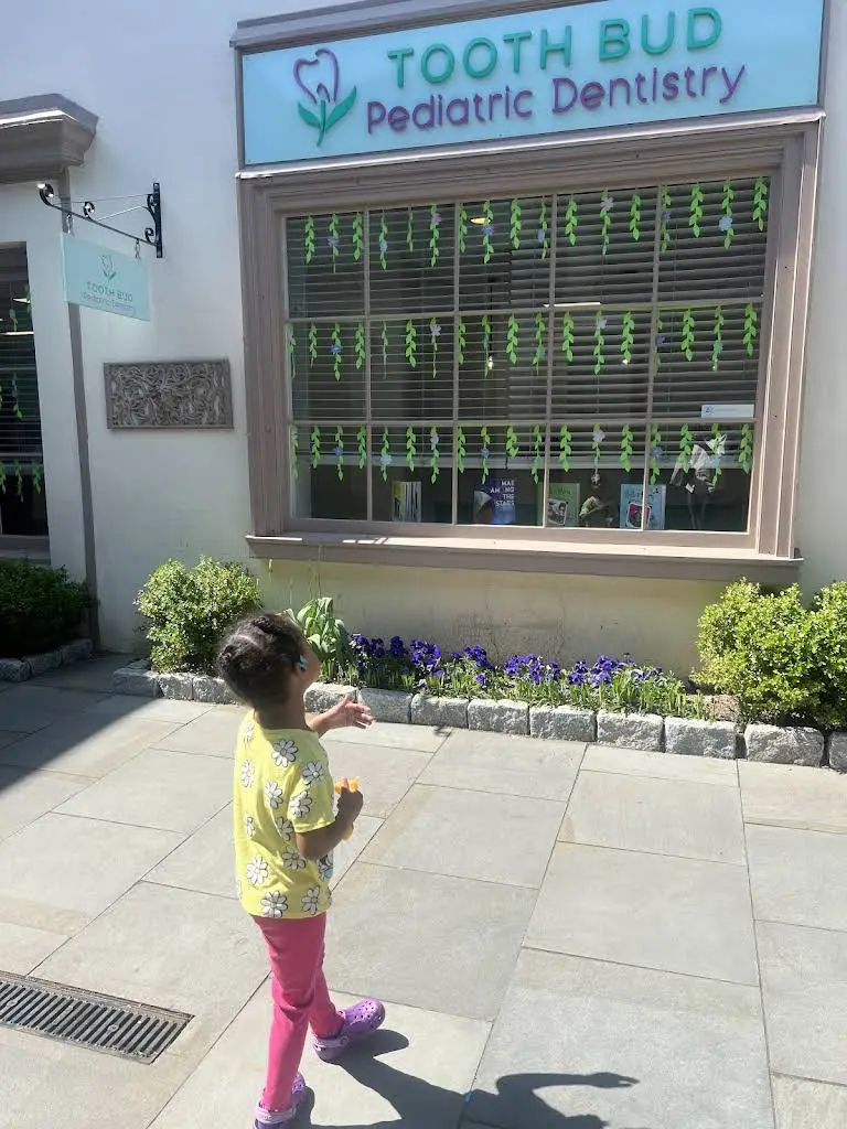 Tooth Bud Pediatric Dentistry
