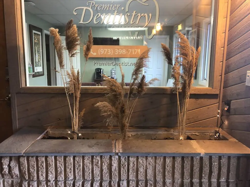 Premier Dentistry