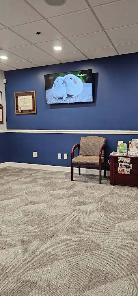 Morris County Dental Associates