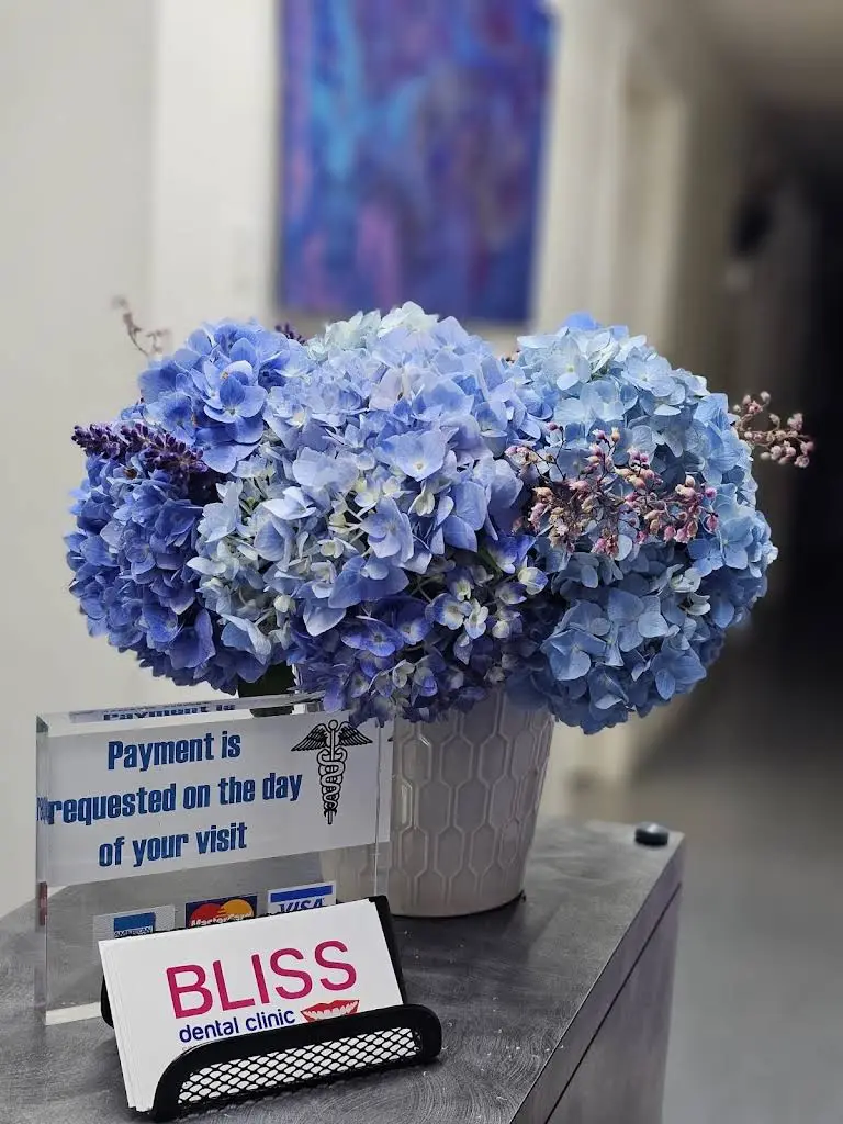 BLISS Dental Clinic