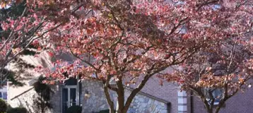 Gwynedd Family Dentistry