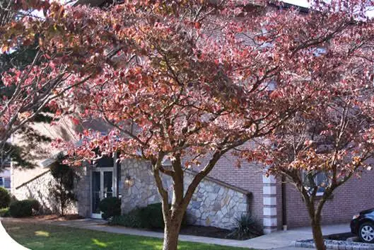 Gwynedd Family Dentistry - Professional dental clinic exterior with modern facilities