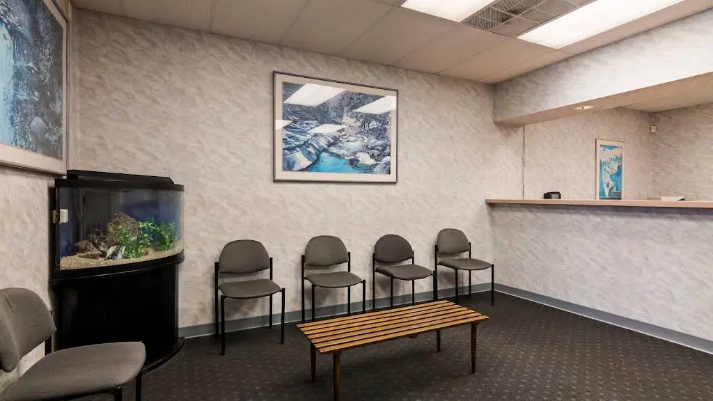 Dental Solutions of Roxborough