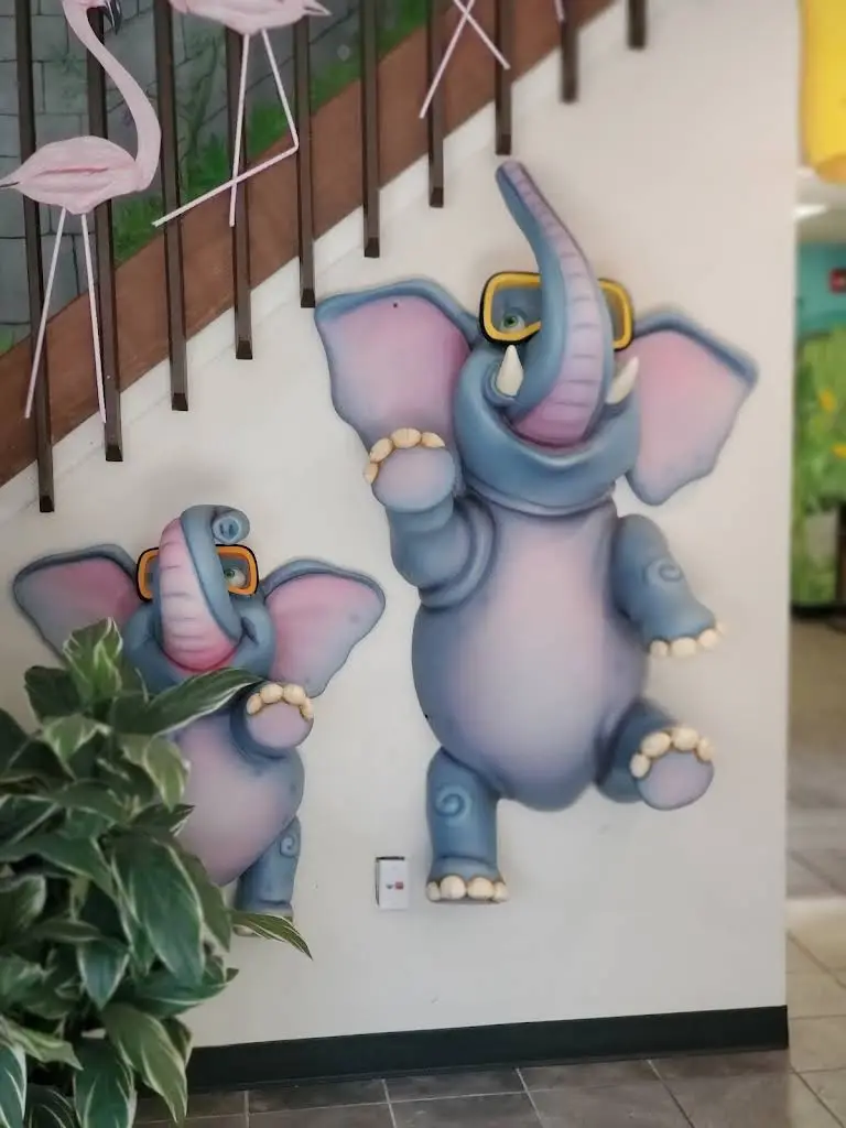 Gentle Touch Smiles for Kids Dental & Orthodontics