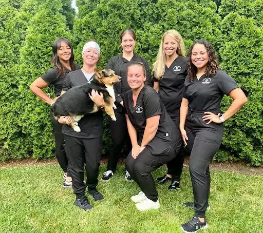 Stavisky Orthodontics - Pennsville