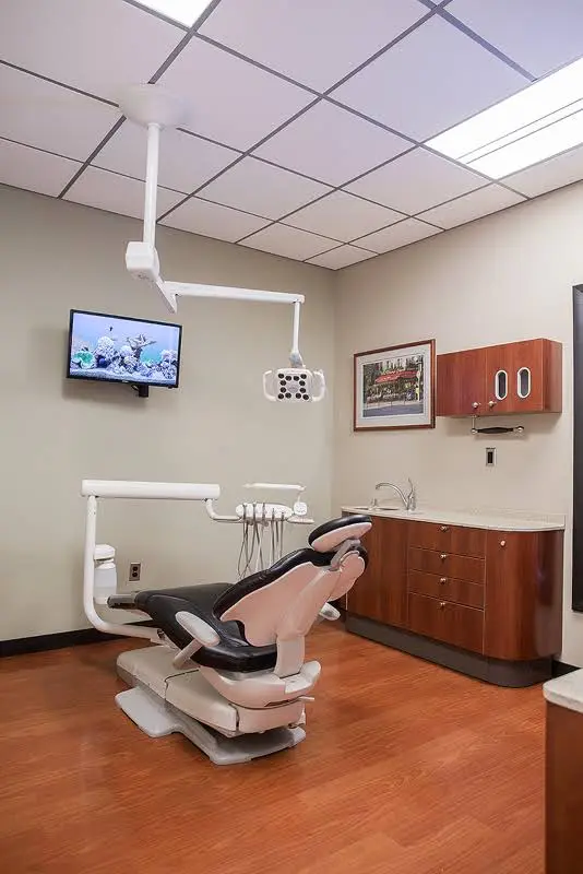 Stephen L Ruchlin DDS
