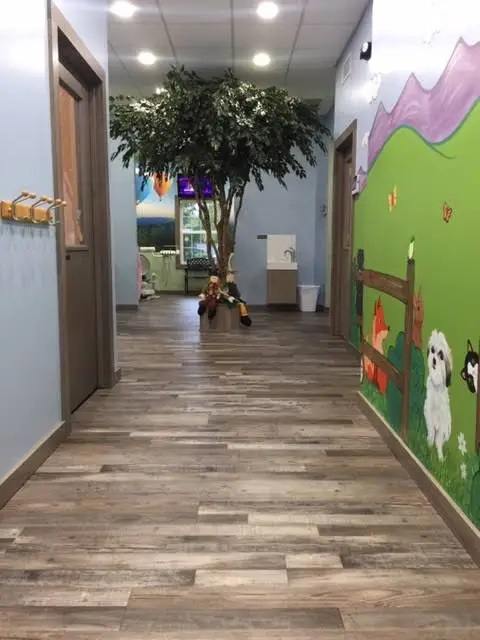 Pitcher Pediatric Dental
