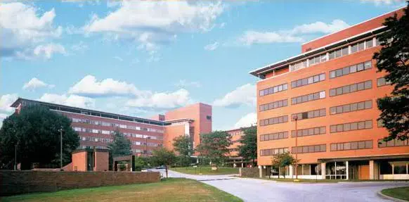 Main Line Dental Health Associates