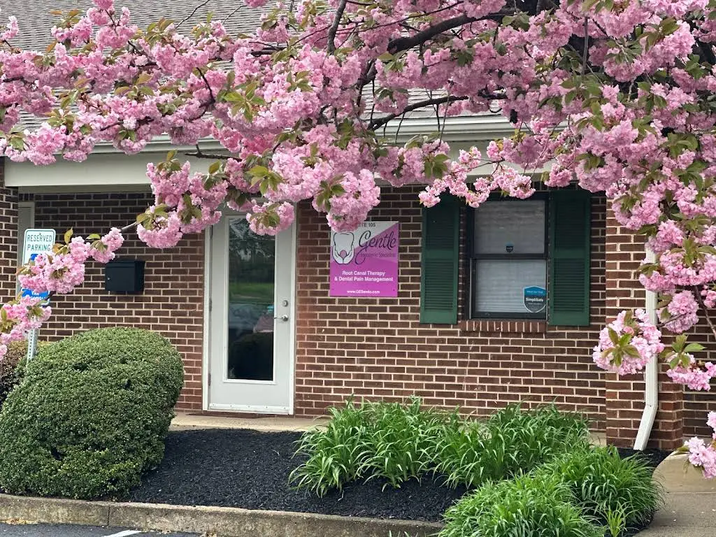 Gentle Endodontic Specialists