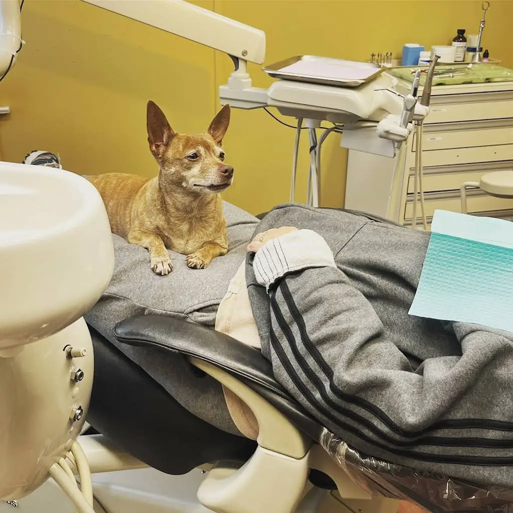 Design That Smile Dental Practice