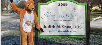 Judith M Shea DDS PLLC