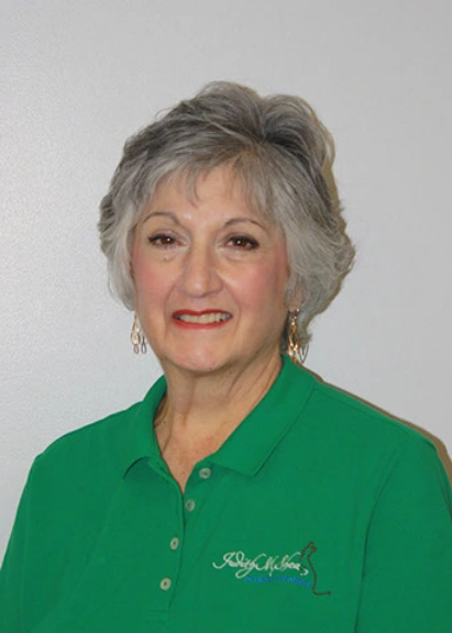 Judith M Shea DDS PLLC