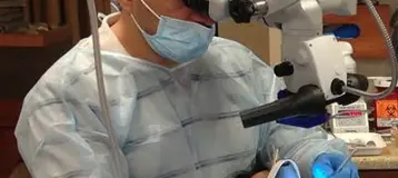 Advanced Endodontic Solutions