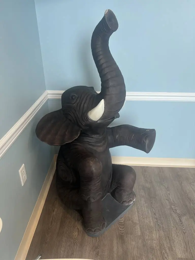 Rossy Pediatric Dentistry