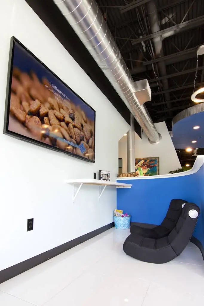 Crescent Moon Orthodontics