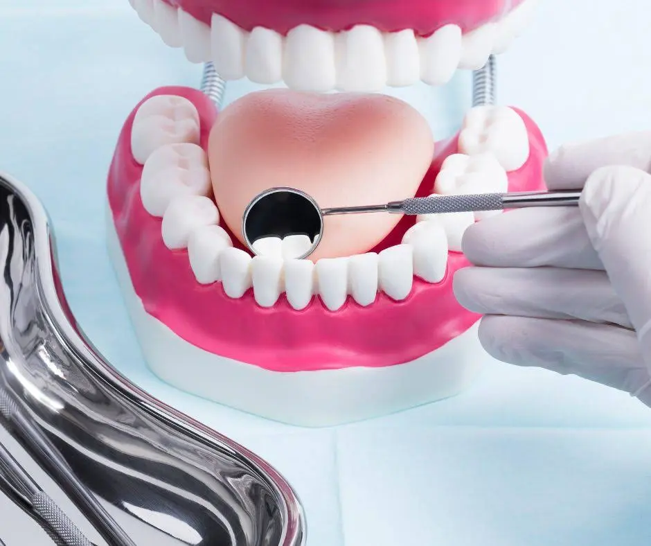 Champion Dentistry