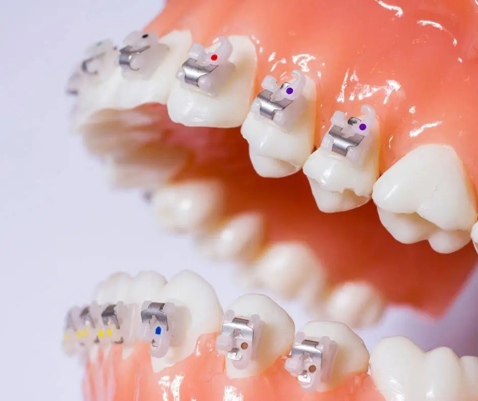 Champion Dentistry