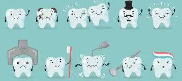 My Family Dental Care / Franklyn Scott DDS, PC