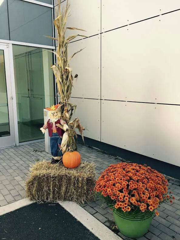 Willow Grove Dentistry