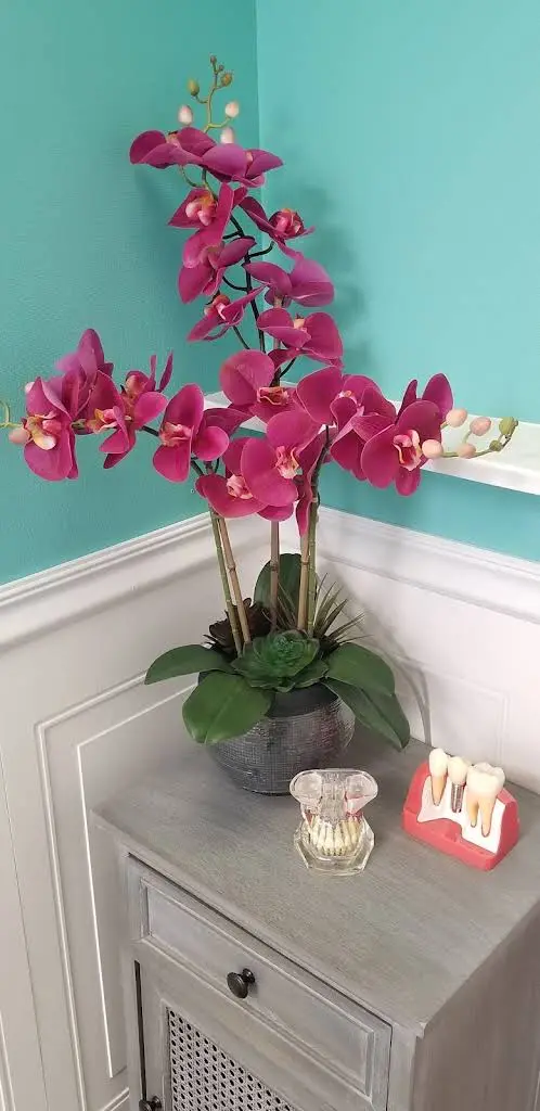 Jenkintown Dental Associates