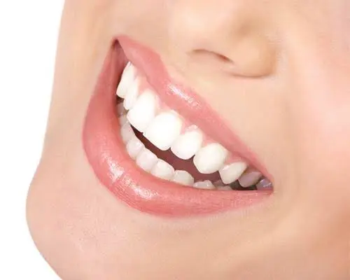 Bala Dental Care LLC
