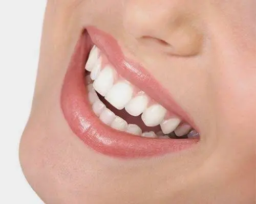 Bala Dental Care LLC