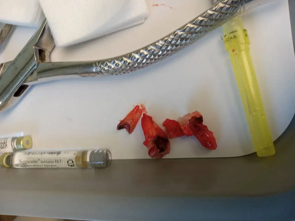 Dental Care of Stratford