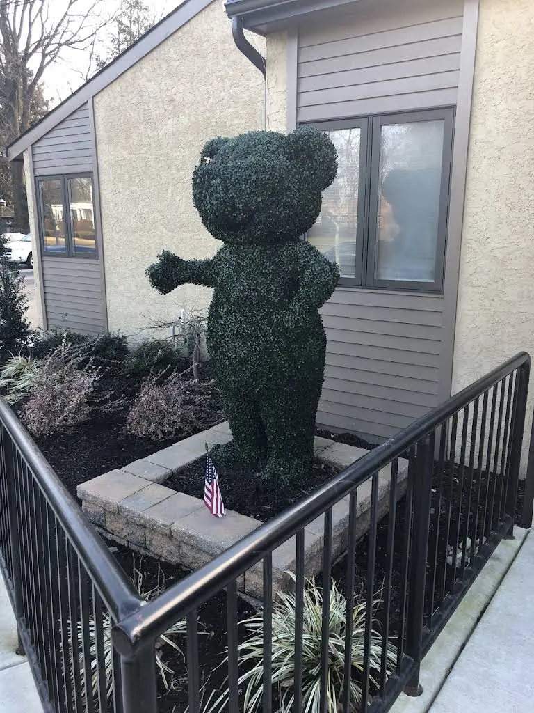 Kool Koala Pediatric And Adolescent Dentistry