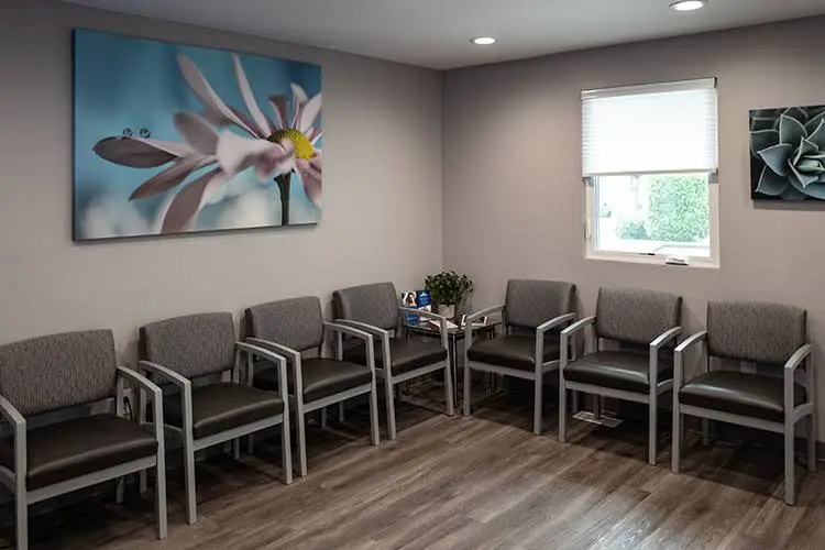 Monokian Dentistry