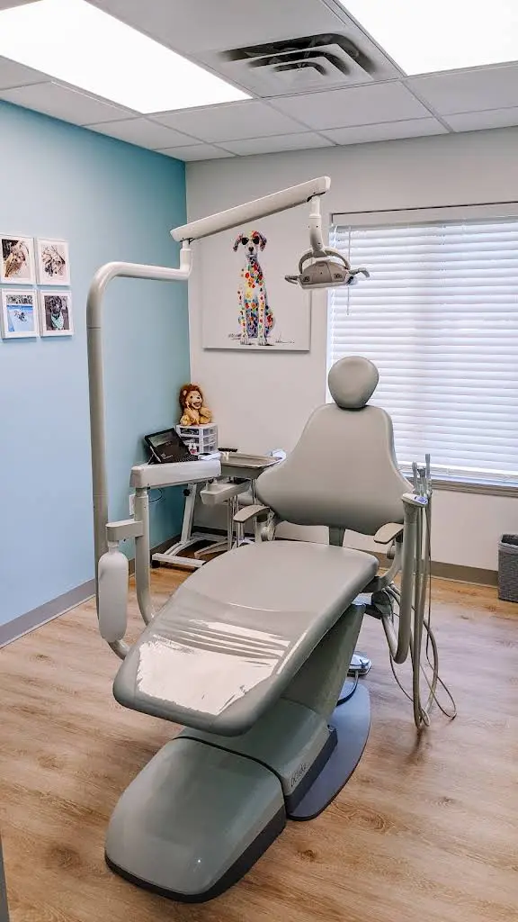 A Dentist 4 Kids, PLLC