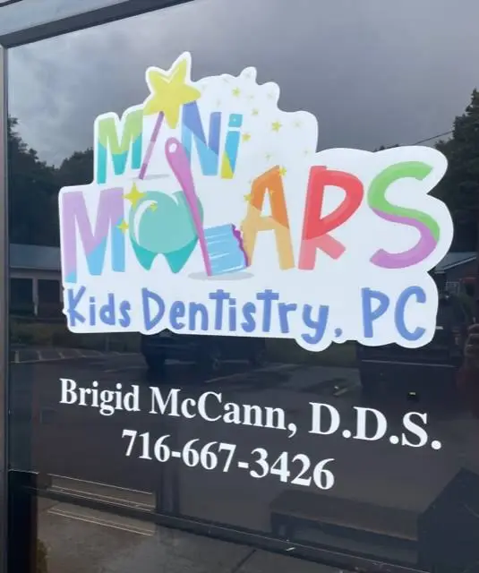 Mini Molars Kids Dentistry - Dr. Brigid McCann