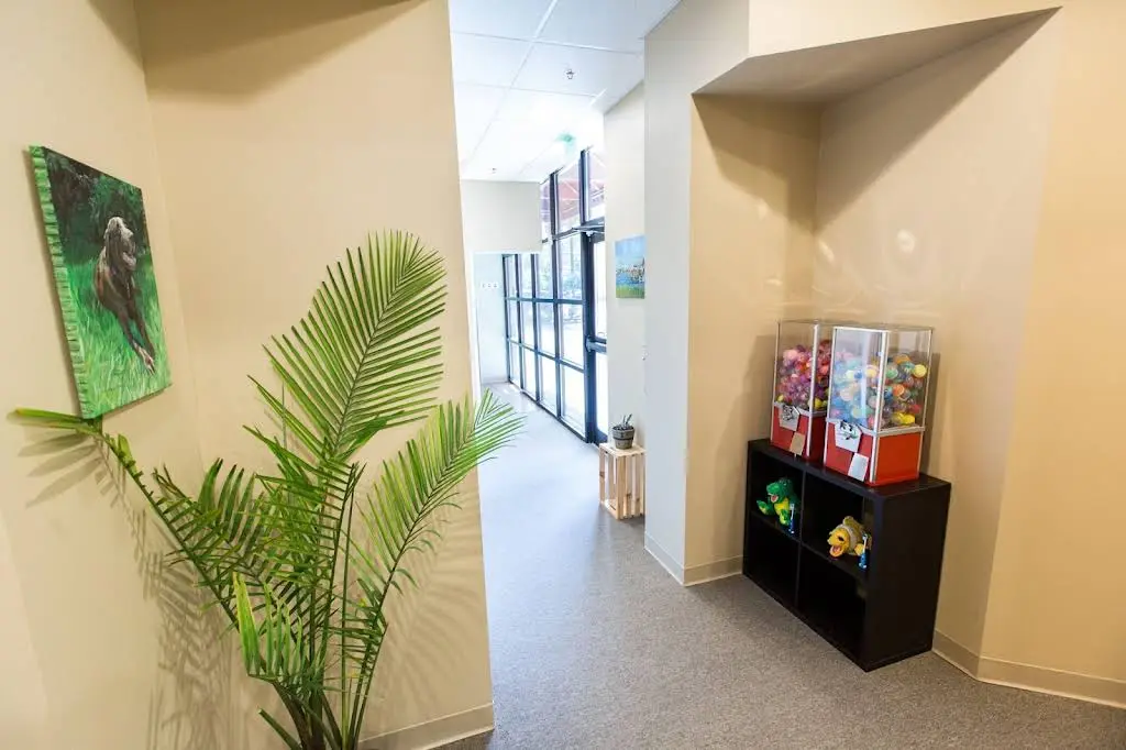 Stono Dental Care