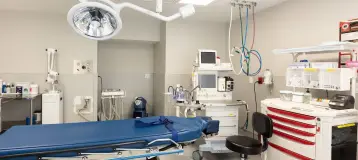 Children's Dental Surgery of Philadelphia