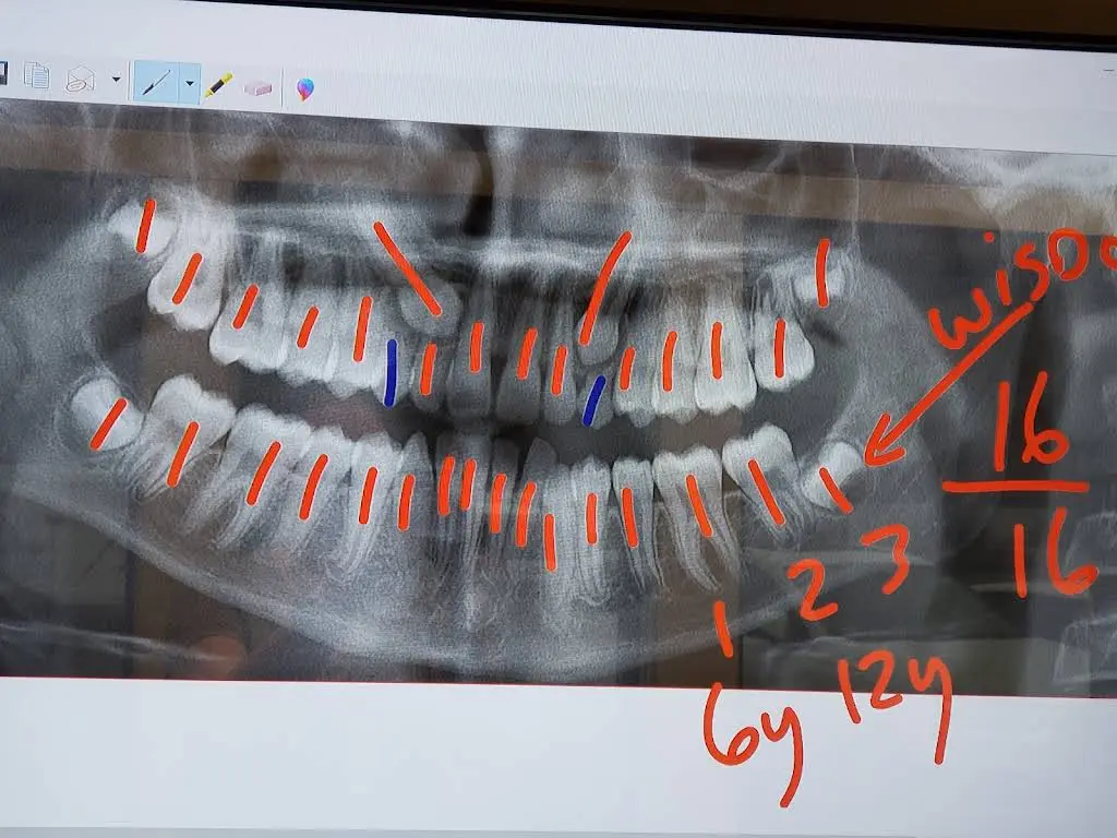 Kadar Orthodontics
