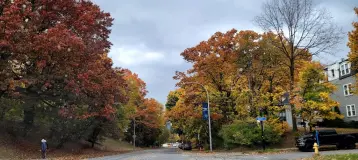 Western New York Dental Group