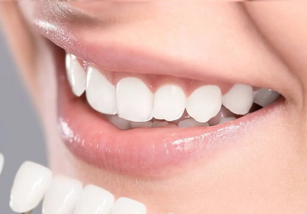 Harborside Dental Team