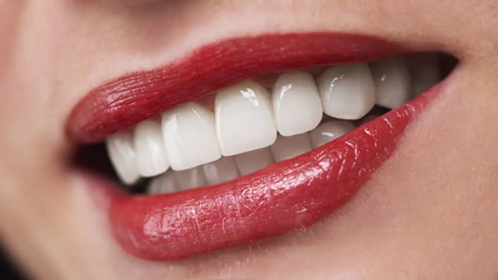 Orthodontists Associates of Western New York
