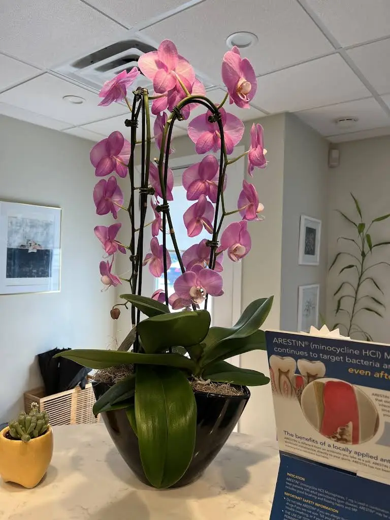 LC Quality Dental