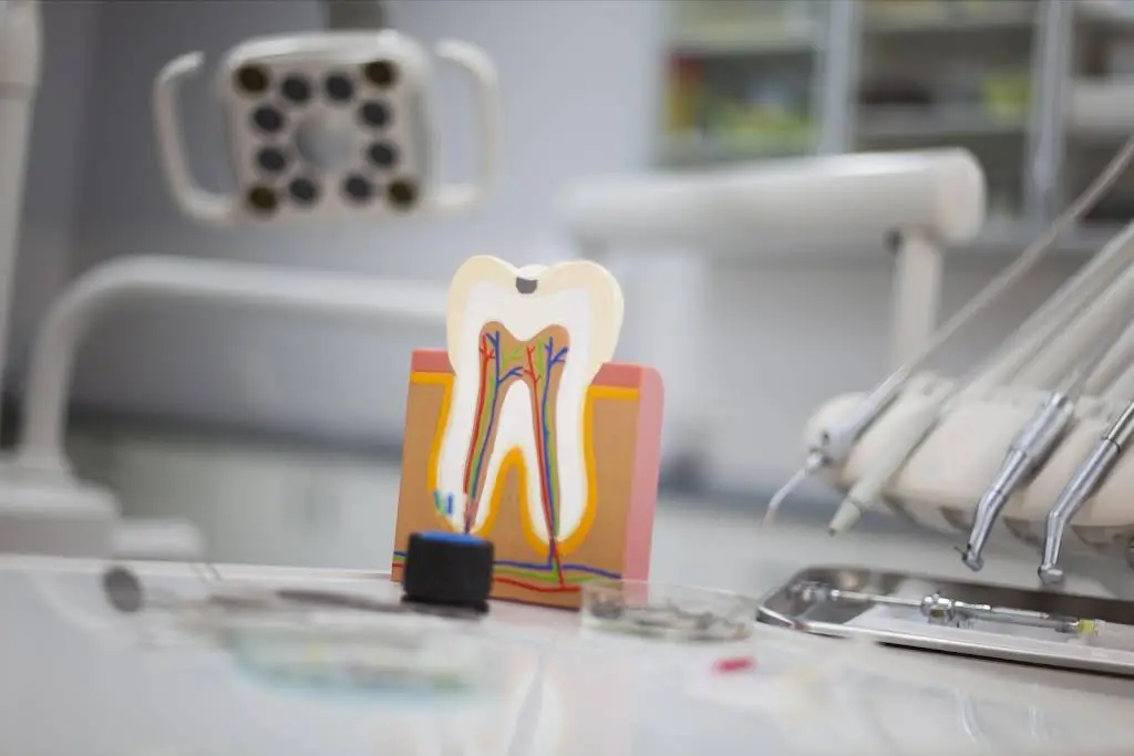 Castor Dental Care - Professional dental clinic exterior with modern facilities