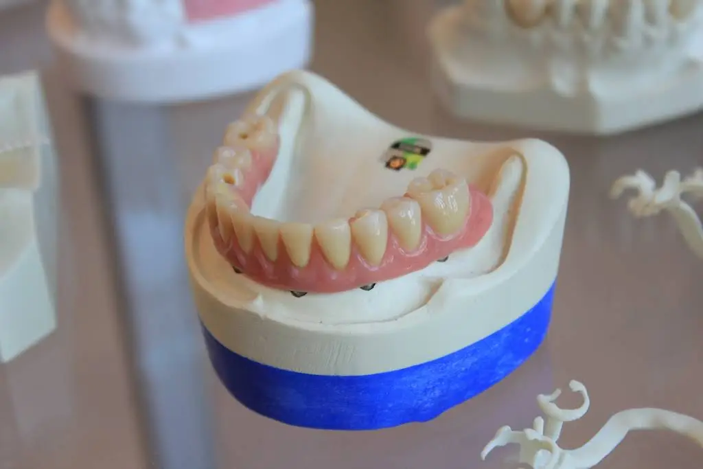Castor Dental Care