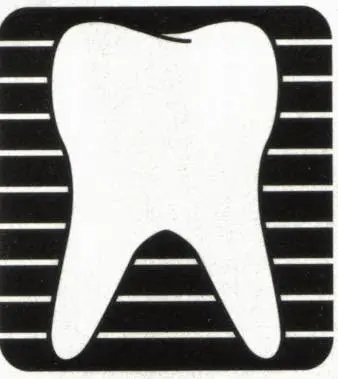 Mitchell Brudno D.M.D. L.L.C.