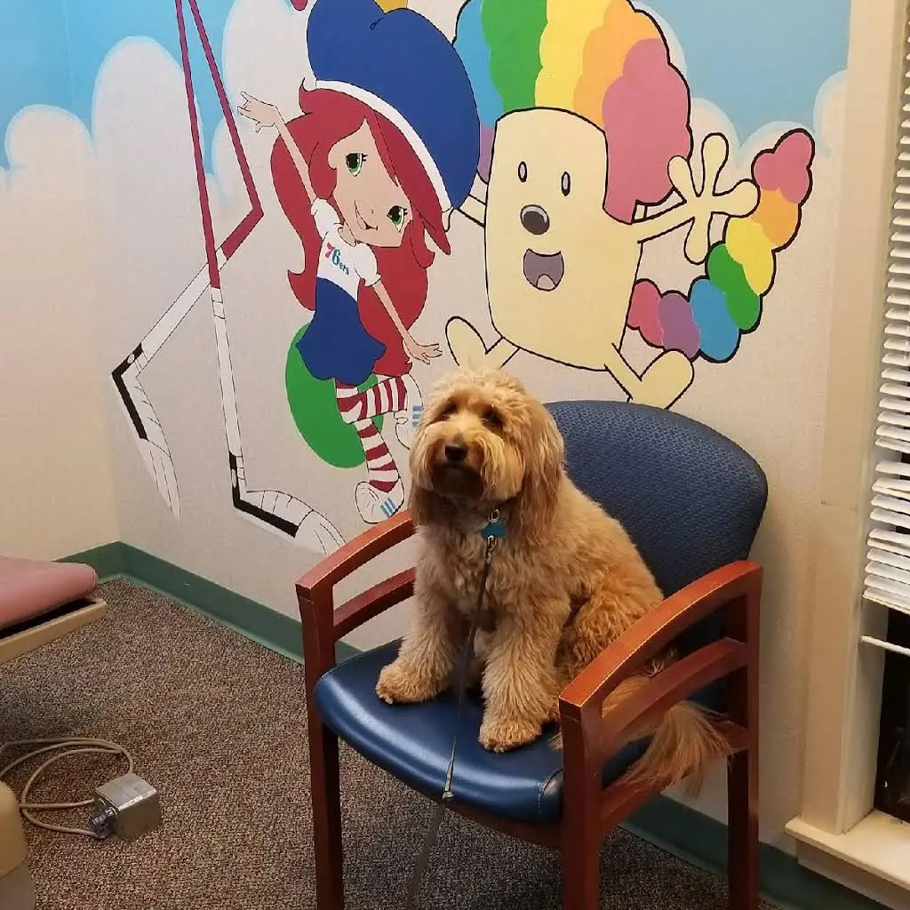 Dentistry For Special People
