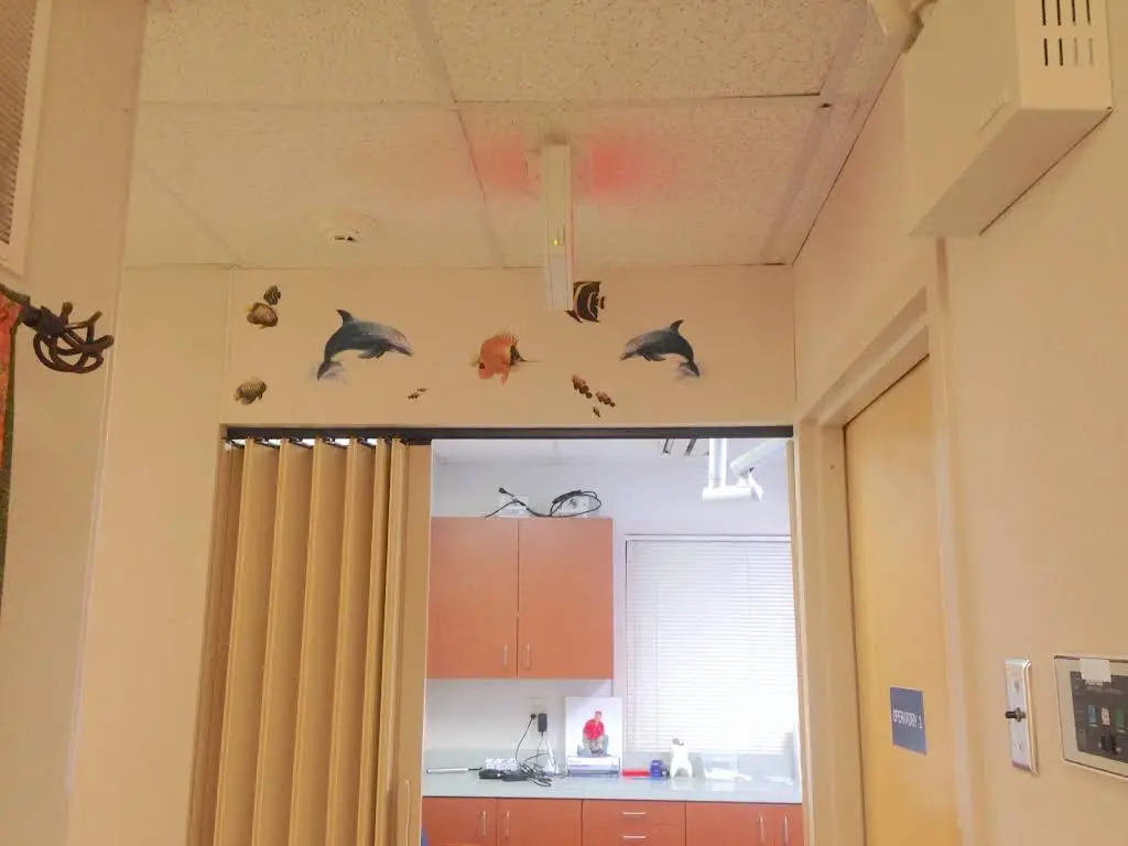 Dentistry For Special People