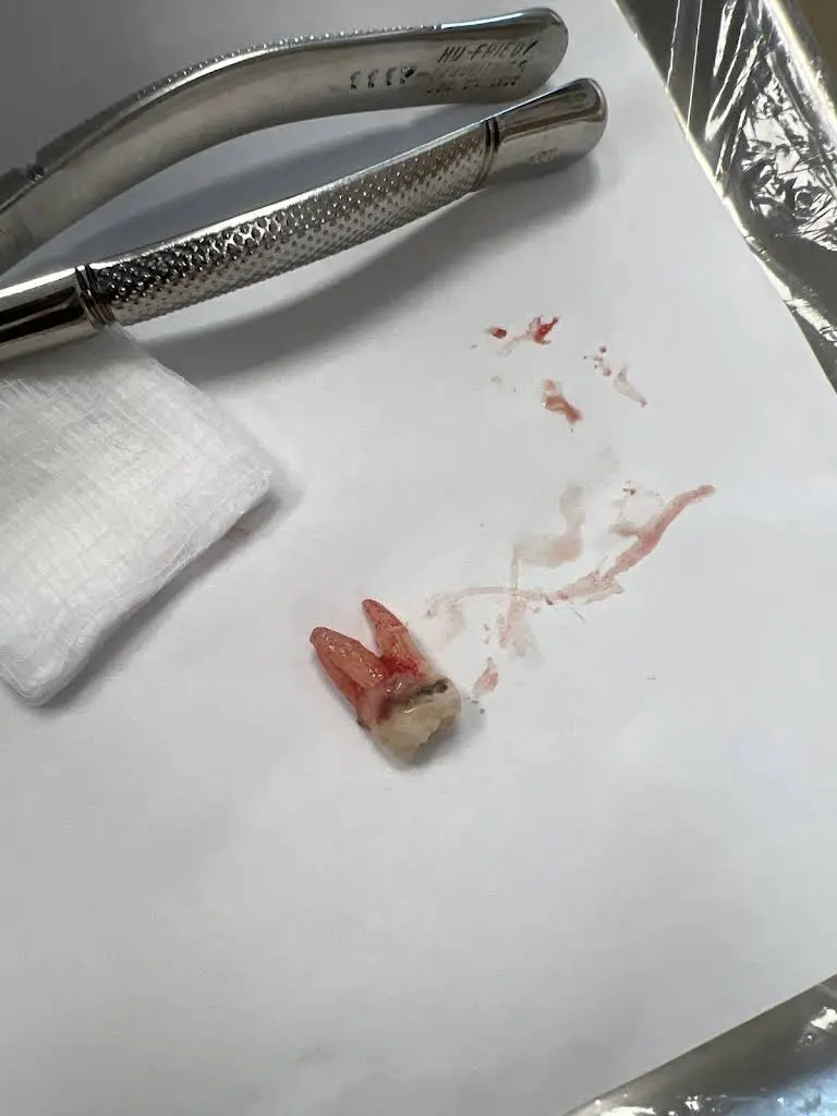 Flatbush Dental
